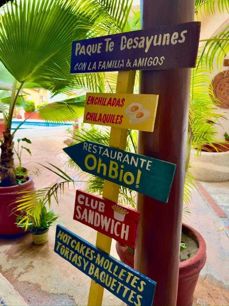 Hotel Zihuatanejo Centro Extérieur photo